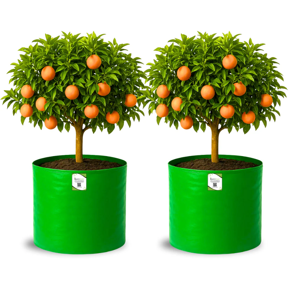 HDPE 18x18 Grow Bags for Terrace Gardening Extra Thick Premium Quality Grow Bags - Image 6