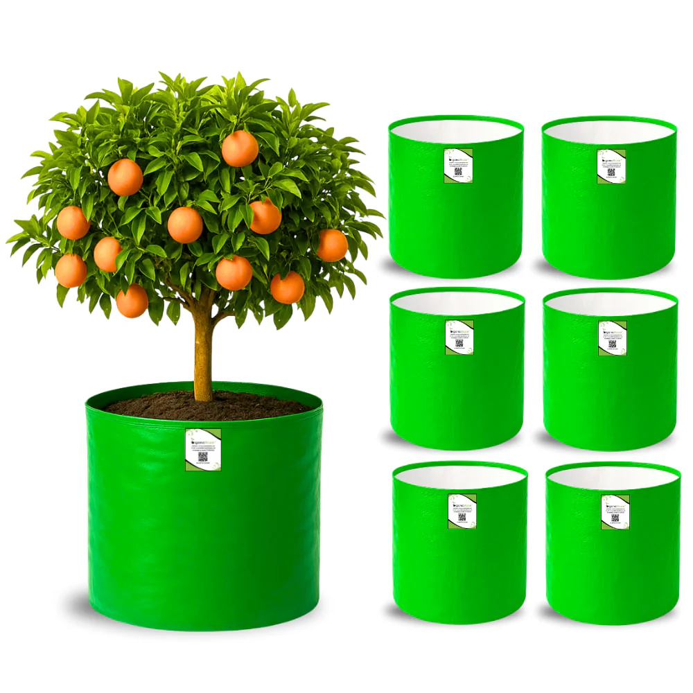 HDPE 18x18 Grow Bags for Terrace Gardening Extra Thick Premium Quality Grow Bags - Image 7