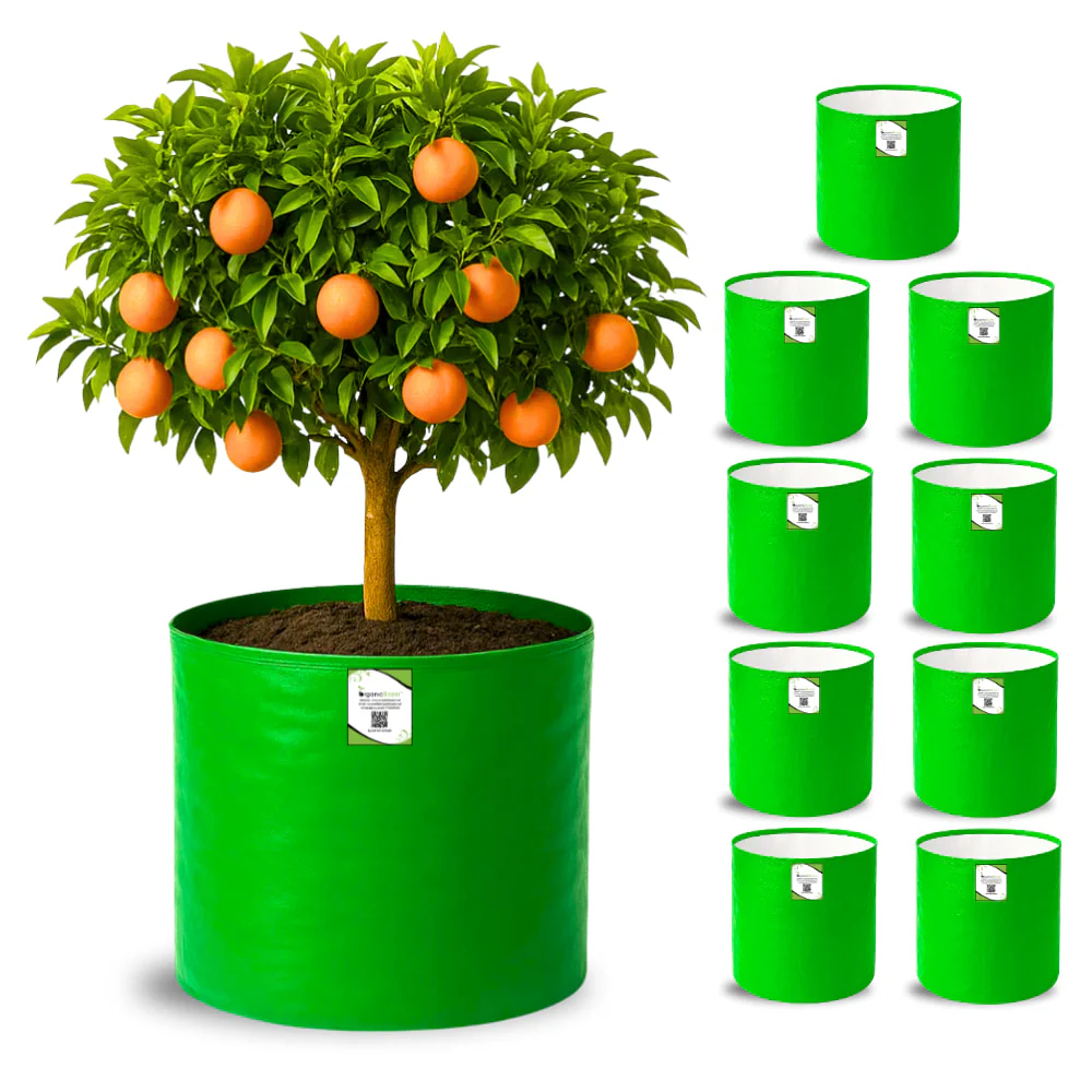 HDPE 18x18 Grow Bags for Terrace Gardening Extra Thick Premium Quality Grow Bags - Image 8