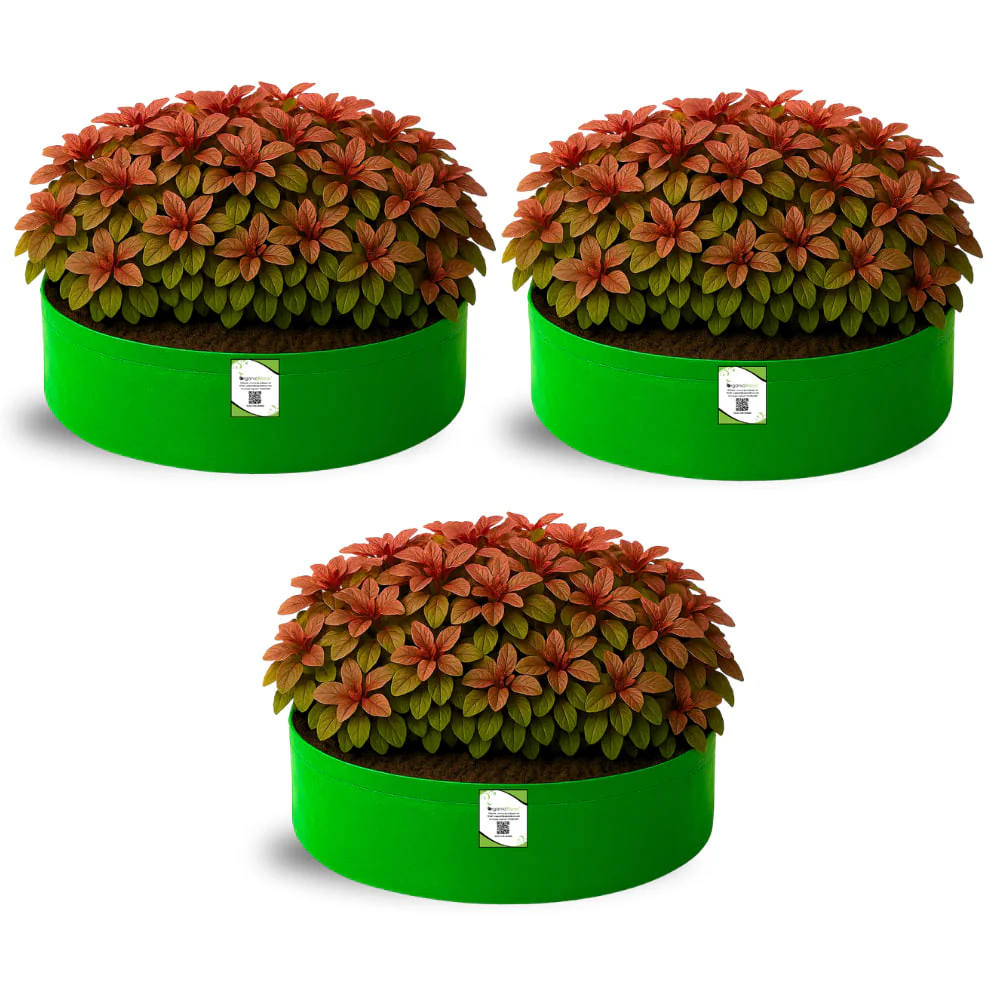 OrganicBazar 18x6 Grow Bag for Leafy Vegetables, Premium HDPE 260 GSM, Green Plant Bags for Terrace Garden - Image 3