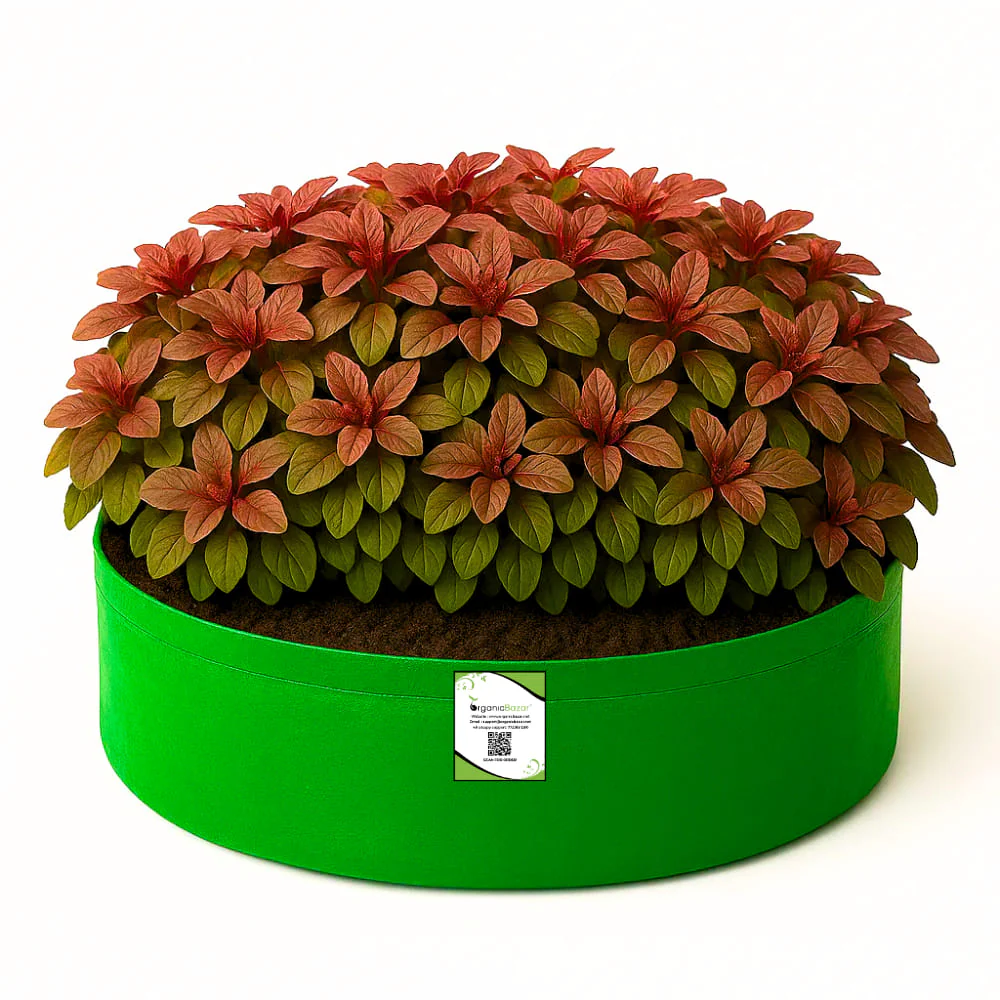 OrganicBazar 18x6 Grow Bag for Leafy Vegetables, Premium HDPE 260 GSM, Green Plant Bags for Terrace Garden - Image 4