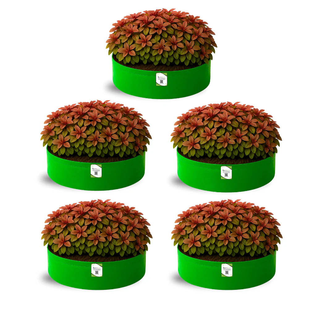 OrganicBazar 18x6 Grow Bag for Leafy Vegetables, Premium HDPE 260 GSM, Green Plant Bags for Terrace Garden - Image 5