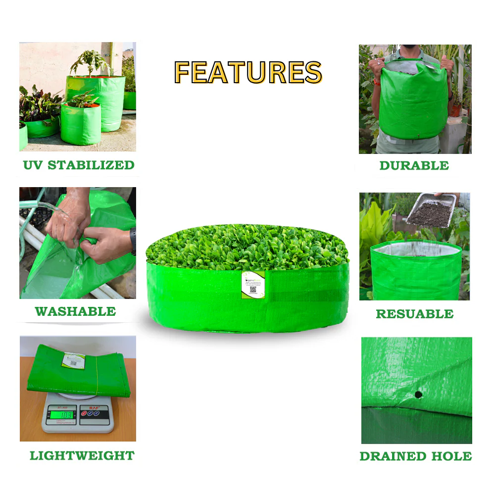 OrganicBazar 18x6 Grow Bag for Leafy Vegetables, Premium HDPE 260 GSM, Green Plant Bags for Terrace Garden - Image 6