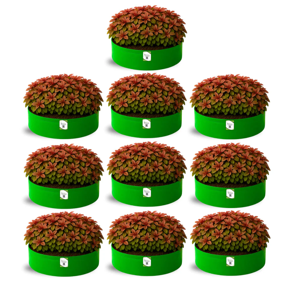 OrganicBazar 18x6 Grow Bag for Leafy Vegetables, Premium HDPE 260 GSM, Green Plant Bags for Terrace Garden - Image 8