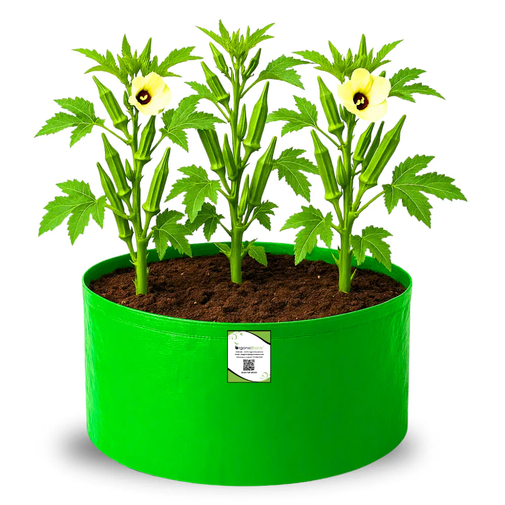 OrganicBazar 18x15 Grow Bag for Vegetable Garden, Premium HDPE 260 GSM, Green Plant Bags for Terrace Garden - Image 4