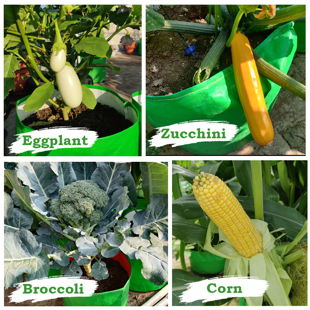 OrganicBazar 18x15 Grow Bag for Vegetable Garden, Premium HDPE 260 GSM, Green Plant Bags for Terrace Garden - Image 6