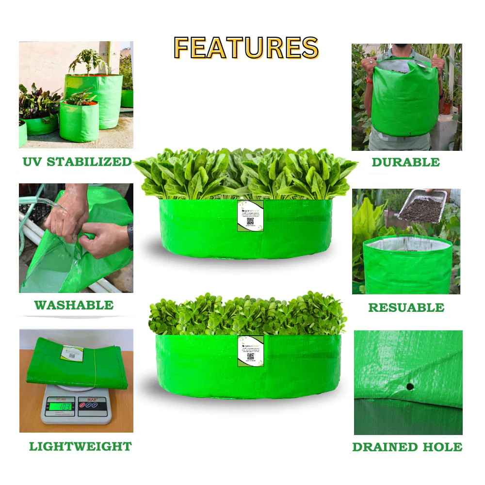 OrganicBazar 18x9 Grow Bag for Leafy Vegetables, Premium HDPE 260 GSM, Green Plant Bags for Terrace Garden - Image 3