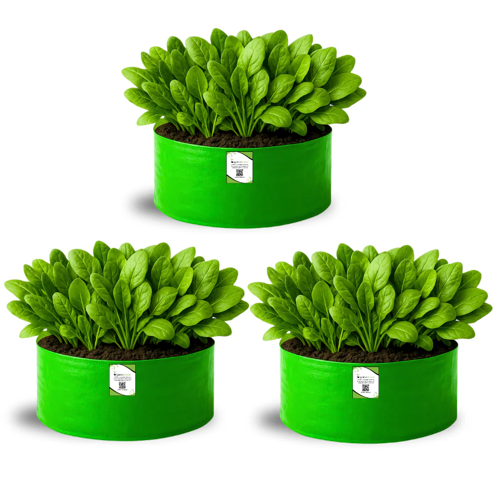 OrganicBazar 18x9 Grow Bag for Leafy Vegetables, Premium HDPE 260 GSM, Green Plant Bags for Terrace Garden - Image 4