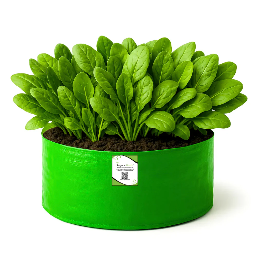 OrganicBazar 18x9 Grow Bag for Leafy Vegetables, Premium HDPE 260 GSM, Green Plant Bags for Terrace Garden - Image 5