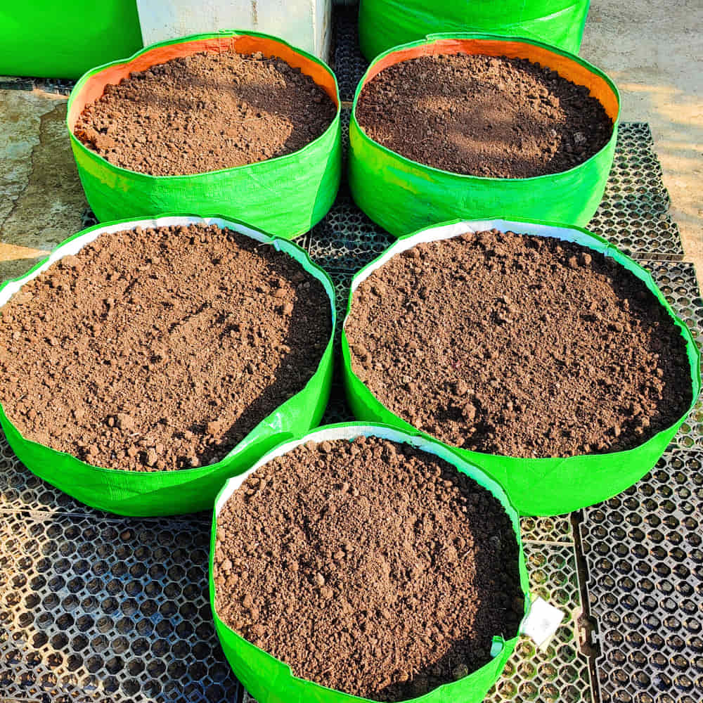 OrganicBazar 18x9 Grow Bag for Leafy Vegetables, Premium HDPE 260 GSM, Green Plant Bags for Terrace Garden - Image 7