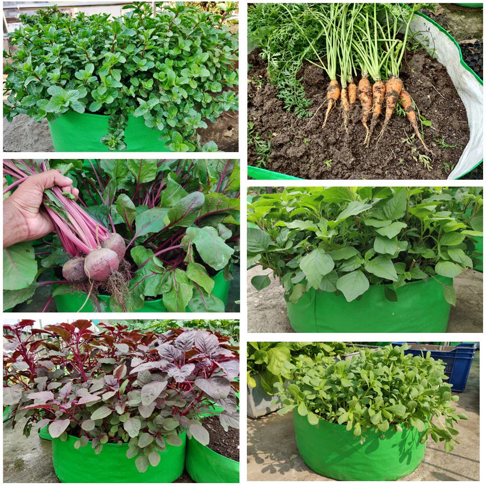 OrganicBazar 18x9 Grow Bag for Leafy Vegetables, Premium HDPE 260 GSM, Green Plant Bags for Terrace Garden - Image 8