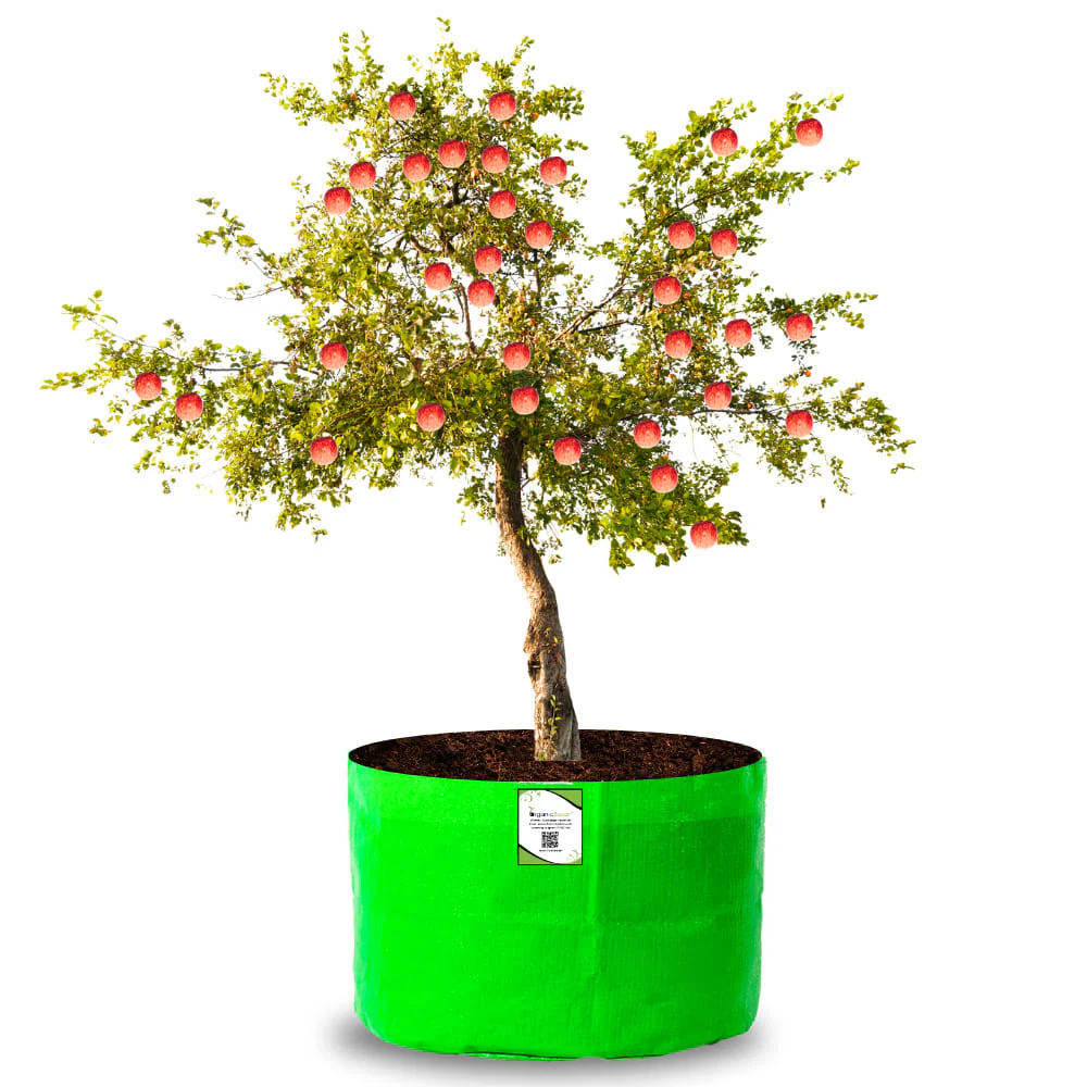 HDPE 24x18 Grow Bags for Terrace Gardening Extra Thick Premium Quality Grow Bags - Image 10