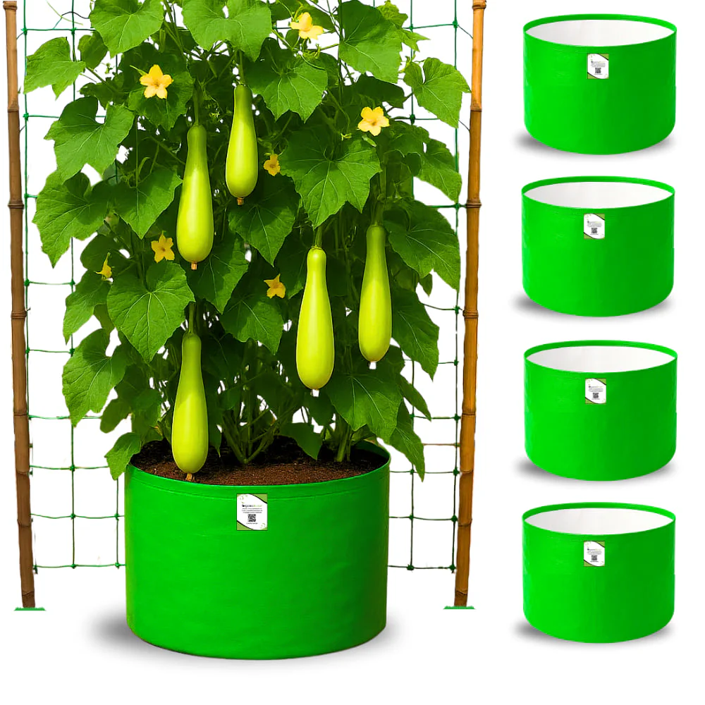 HDPE 24x18 Grow Bags for Terrace Gardening Extra Thick Premium Quality Grow Bags - Image 4