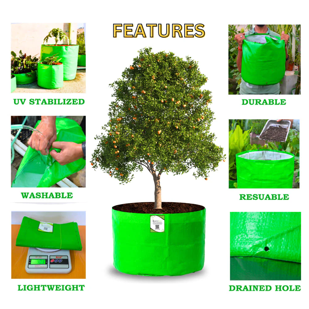 HDPE 24x18 Grow Bags for Terrace Gardening Extra Thick Premium Quality Grow Bags - Image 5