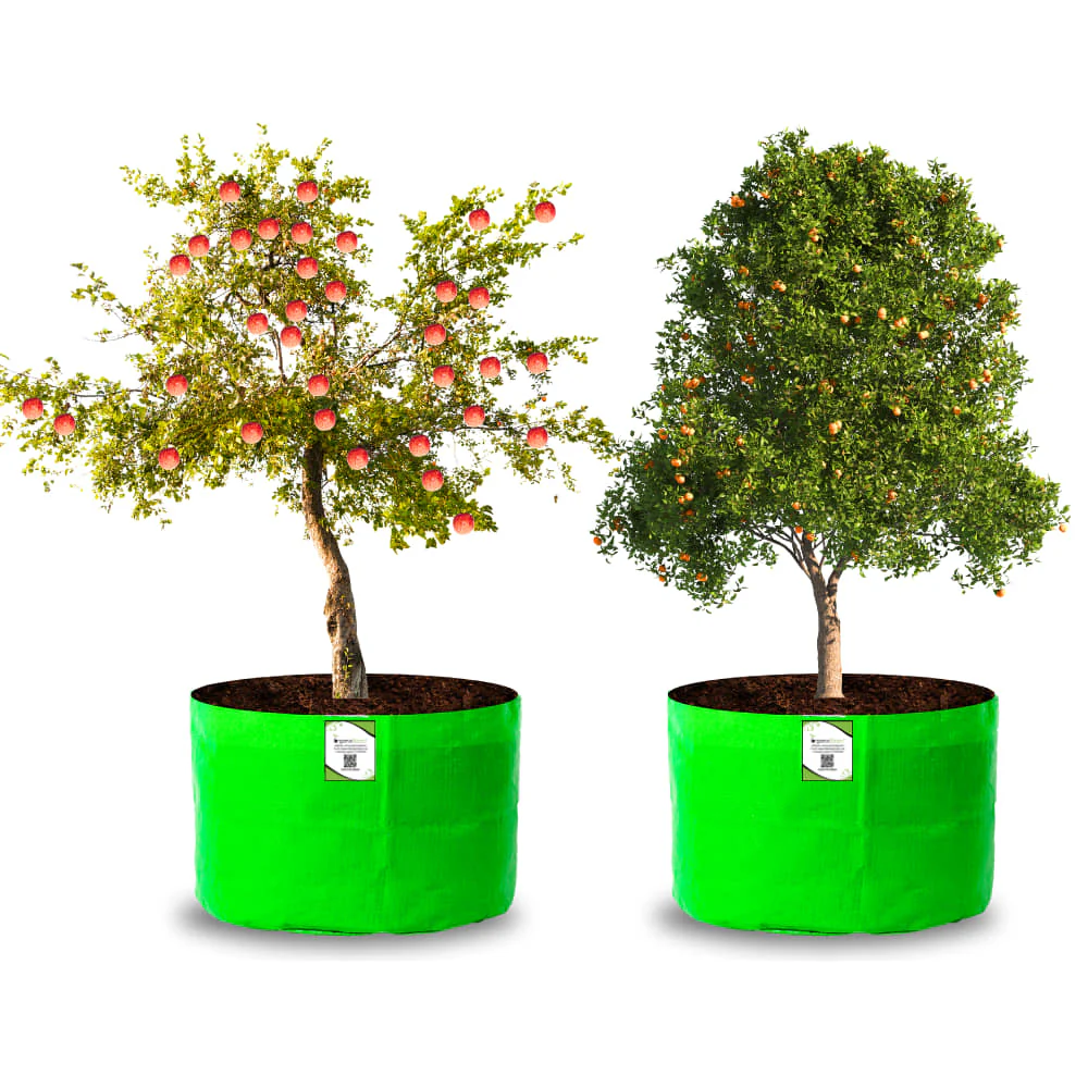 HDPE 24x18 Grow Bags for Terrace Gardening Extra Thick Premium Quality Grow Bags - Image 9