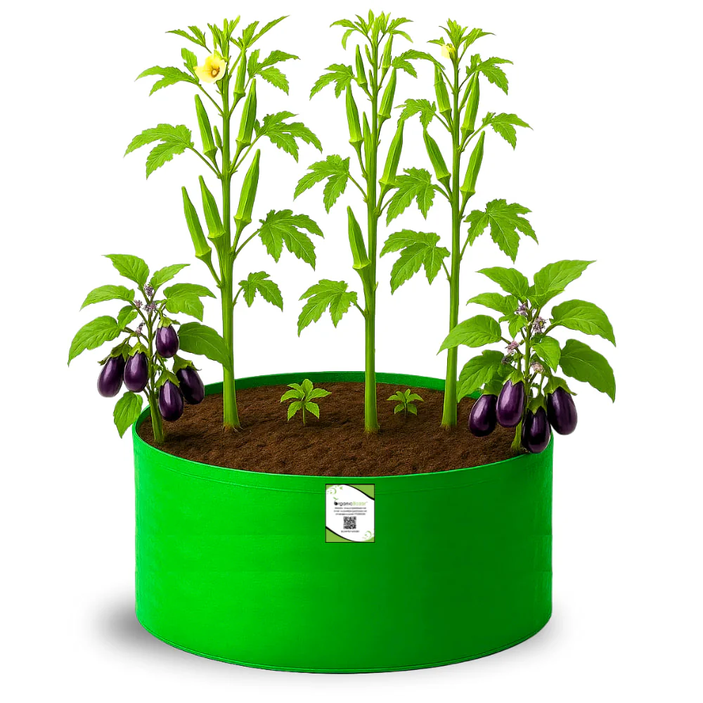 OrganicBazar 24x12 Big Size Grow Bags for Home and Terrace Garden, Premium HDPE 260 GSM Green Plant Bag - Image 4