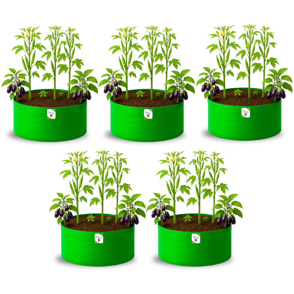 OrganicBazar 24x12 Big Size Grow Bags for Home and Terrace Garden, Premium HDPE 260 GSM Green Plant Bag - Image 6