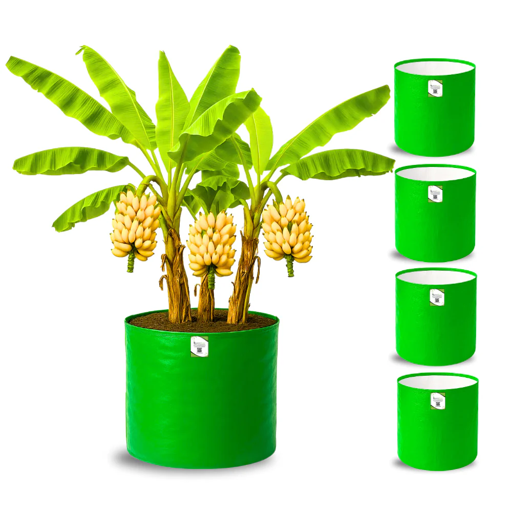 OrganicBazar HDPE 24x24 Big Size Grow Bags for Home Gardening | Plants Bags for Fruits, Vegetables, & Flowers | Round Green Planting Bags | 260 GSM Garden Growing Bag - Image 5