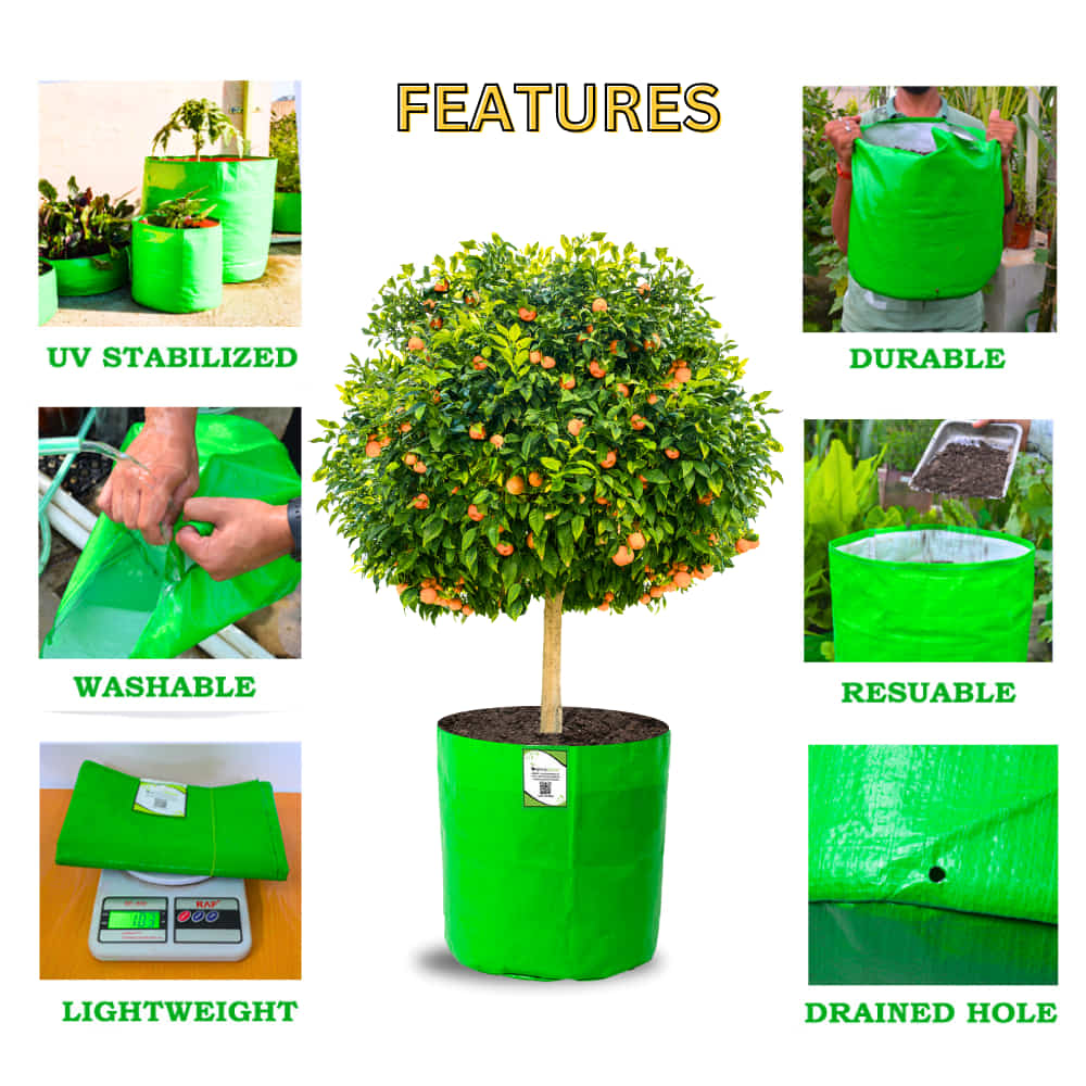OrganicBazar HDPE 24x24 Big Size Grow Bags for Home Gardening | Plants Bags for Fruits, Vegetables, & Flowers | Round Green Planting Bags | 260 GSM Garden Growing Bag - Image 7
