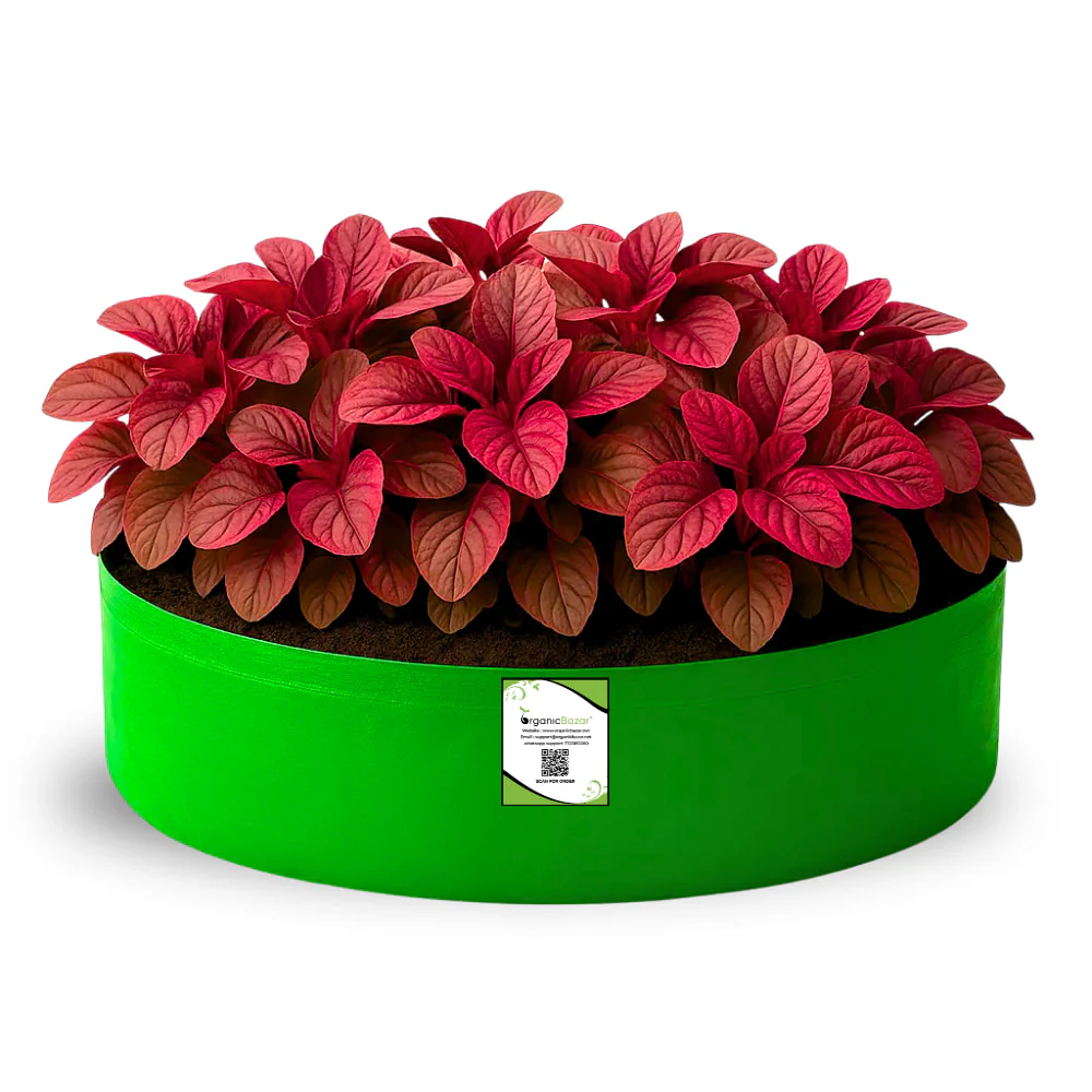 OrganicBazar 24x9 Grow Bag for Leafy Vegetables, Premium HDPE 260 GSM, Green Plant Bags for Terrace Garden - Image 4