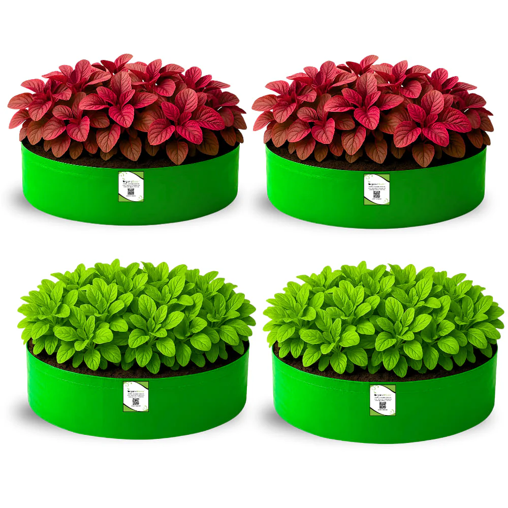 OrganicBazar 24x9 Grow Bag for Leafy Vegetables, Premium HDPE 260 GSM, Green Plant Bags for Terrace Garden - Image 5