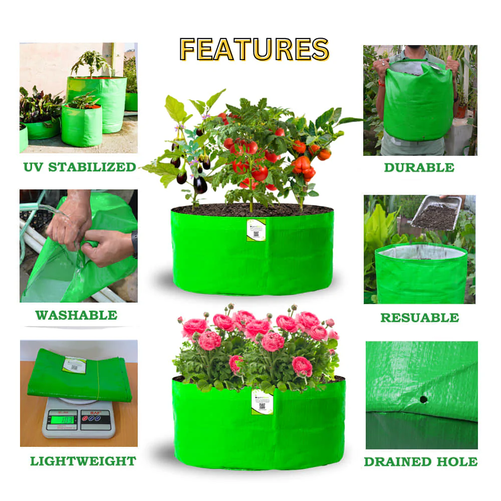 OrganicBazar 24x12 Big Size Grow Bags for Home and Terrace Garden, Premium HDPE 260 GSM Green Plant Bag - Image 3