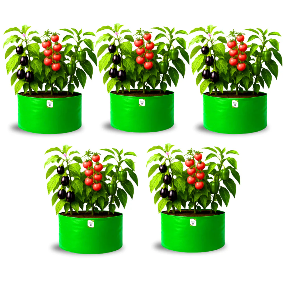 HDPE 24x15 Grow Bags for Home and Terrace Gardening Extra Thick Premium Quality Grow Bags - Image 5