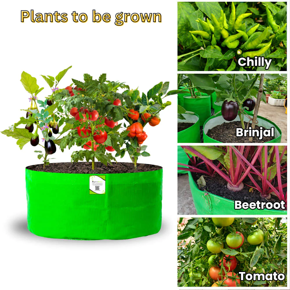 OrganicBazar 24x12 Big Size Grow Bags for Home and Terrace Garden, Premium HDPE 260 GSM Green Plant Bag - Image 7