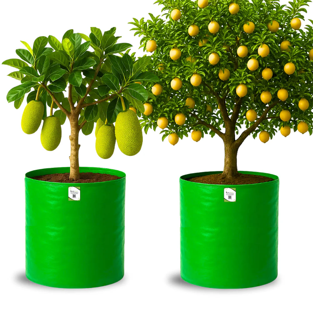 OrganicBazar 24X36 Very Large Grow Bag for Fruit Tree, Premium HDPE 260 GSM Green Big Planter for Terrace Garden - Image 6