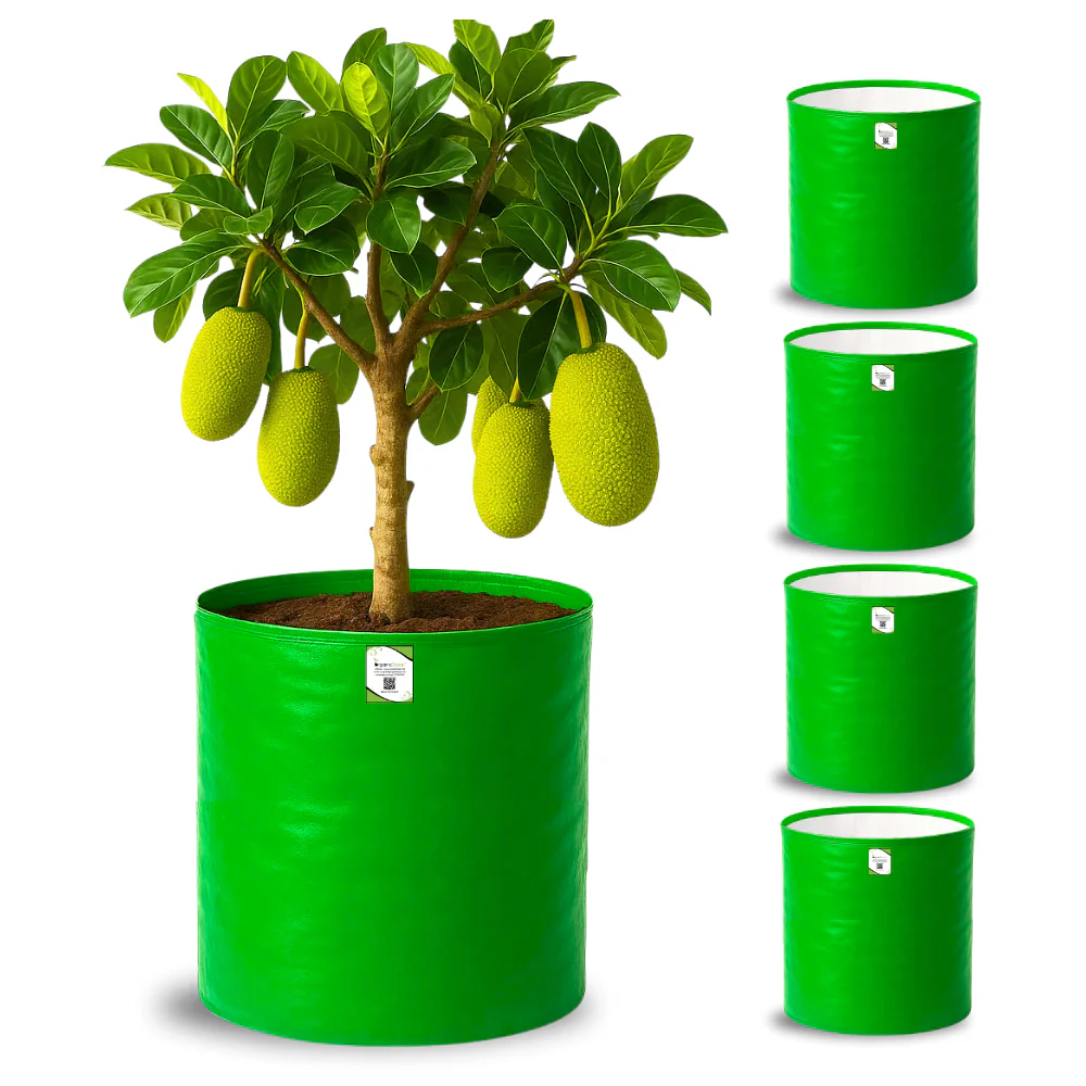 OrganicBazar 24X36 Very Large Grow Bag for Fruit Tree, Premium HDPE 260 GSM Green Big Planter for Terrace Garden - Image 7