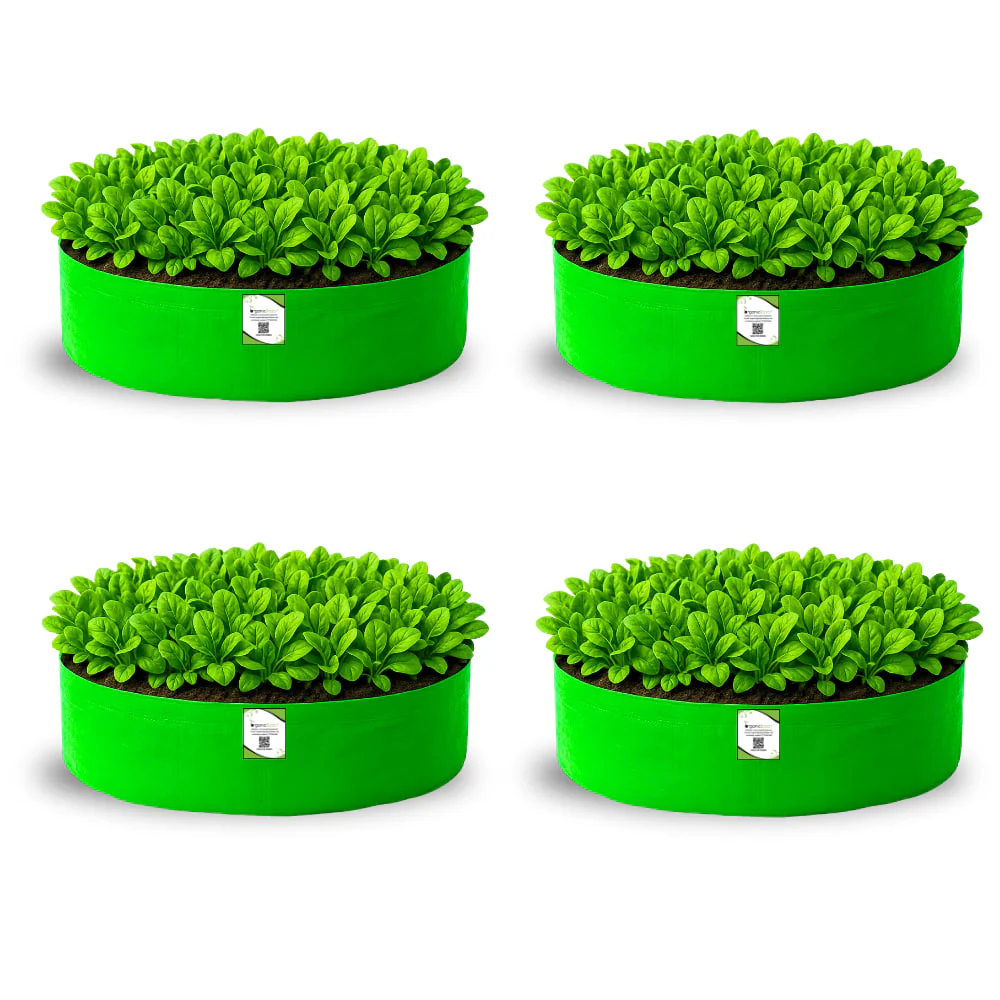 OrganicBazar 24x6 Grow Bag for Leafy Vegetables, Premium HDPE 260 GSM, Green Plant Bags for Terrace Garden - Image 5