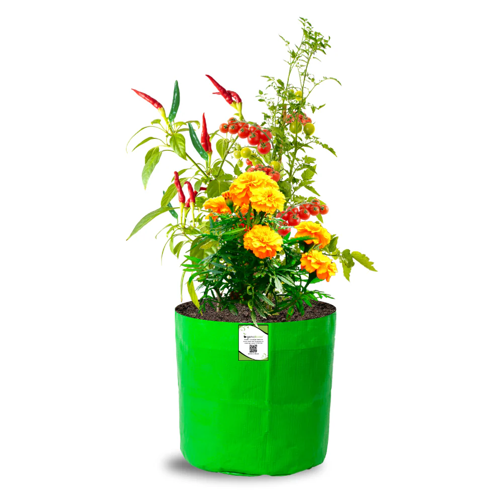 OrganicBazar 9x9 Small Grow Bag for Terrace Garden, Premium HDPE 260 GSM, Green Plant Bags - Image 11
