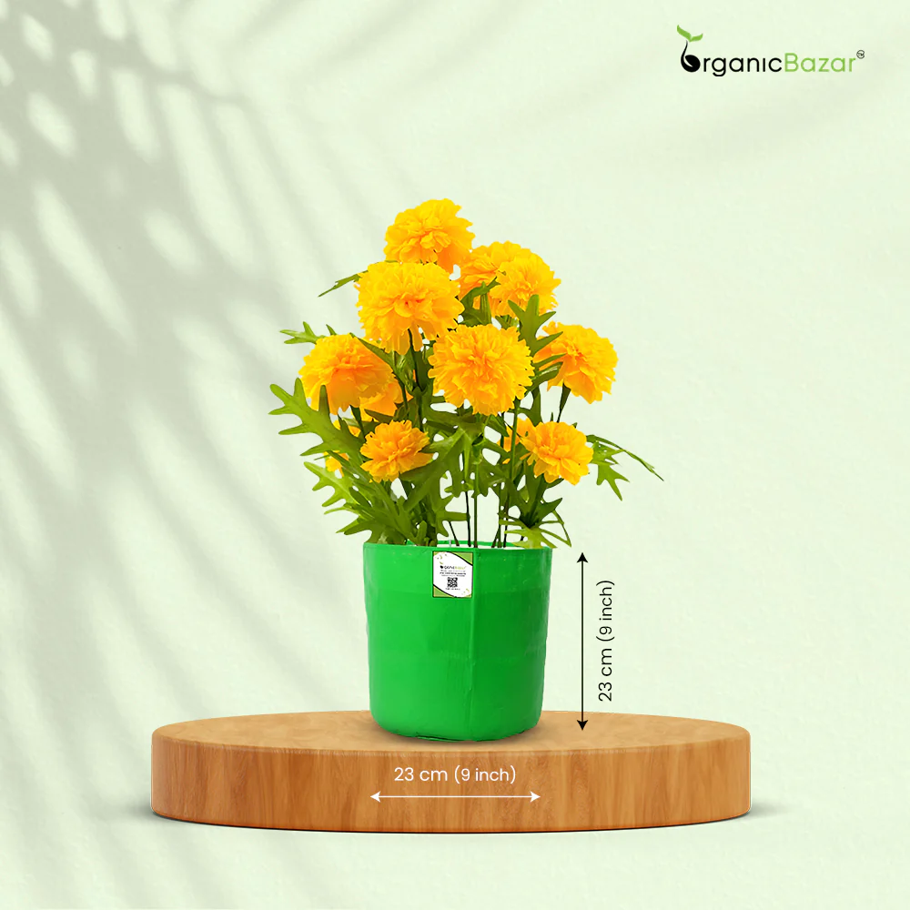 OrganicBazar 9x9 Small Grow Bag for Terrace Garden, Premium HDPE 260 GSM, Green Plant Bags - Image 12