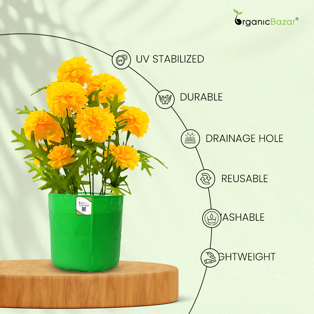 OrganicBazar 9x9 Small Grow Bag for Terrace Garden, Premium HDPE 260 GSM, Green Plant Bags - Image 14