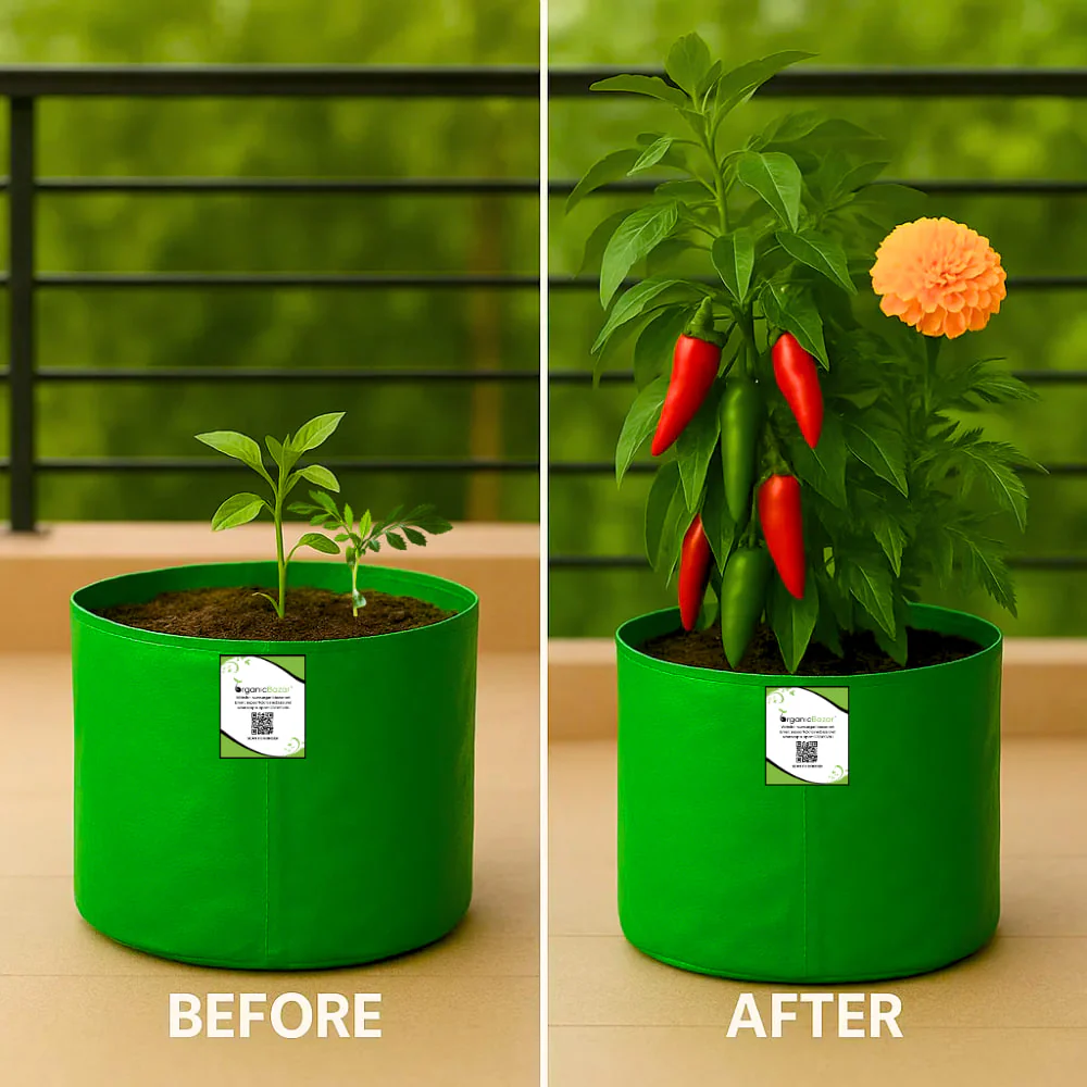 OrganicBazar 9x9 Small Grow Bag for Terrace Garden, Premium HDPE 260 GSM, Green Plant Bags - Image 4