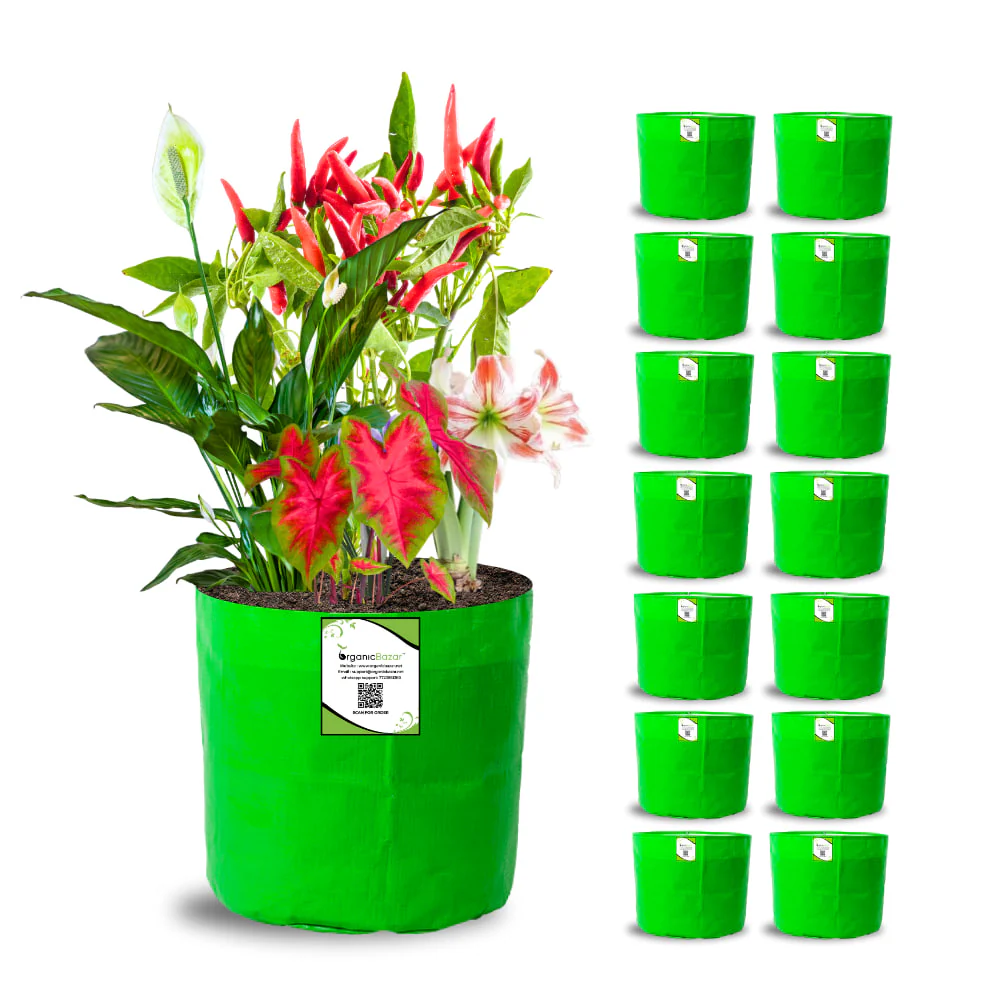OrganicBazar 8x8 Grow Bags for Terrace Garden, Premium HDPE 260 GSM, Green Plant Bags - Image 5