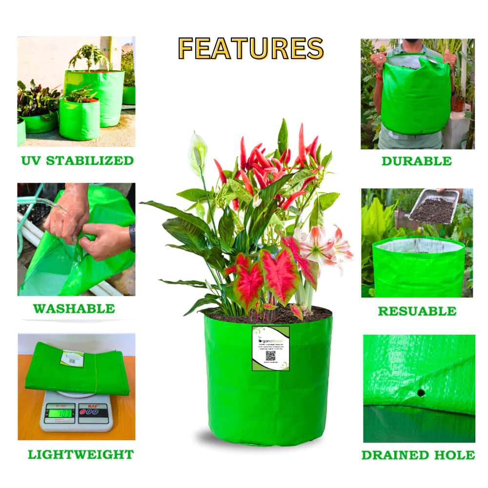 OrganicBazar 8x8 Grow Bags for Terrace Garden, Premium HDPE 260 GSM, Green Plant Bags - Image 7