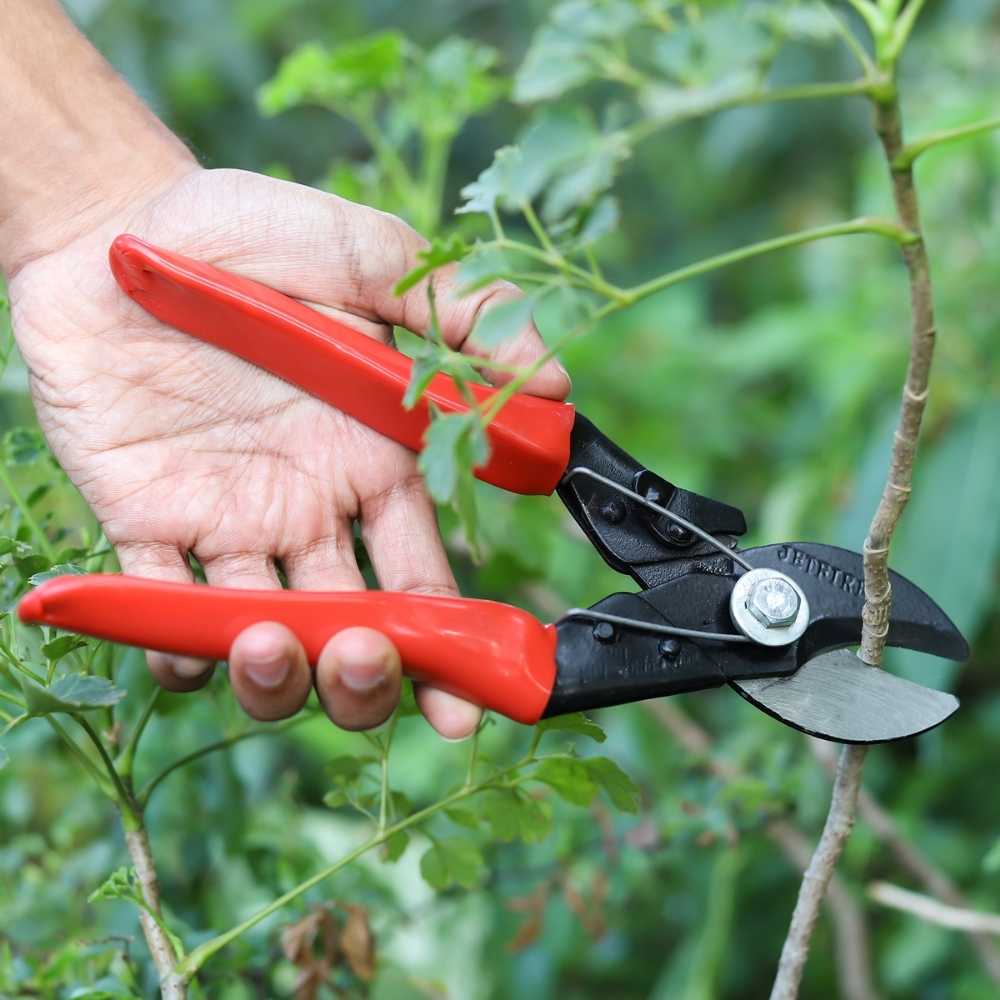 Heavy Duty Double Cut Hand Pruner - Image 3