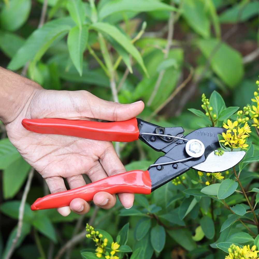 Heavy Duty Double Cut Hand Pruner - Image 4