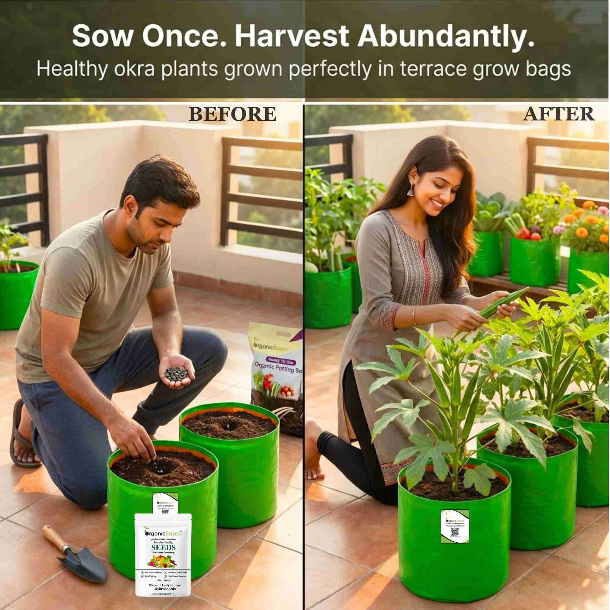 Okra or Lady Finger Hybrid (bhindi) Seeds - 50 Seeds (भिंडी के बीज) Easy To grow, High Germination, High Yield Okra Seeds for Home Gardening - Image 4