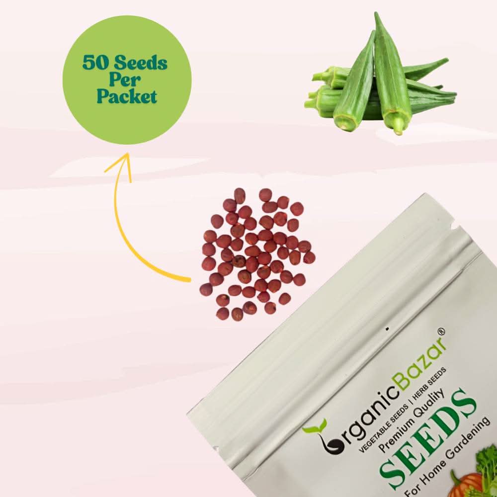 Okra or Lady Finger Hybrid (bhindi) Seeds - 50 Seeds (भिंडी के बीज) Easy To grow, High Germination, High Yield Okra Seeds for Home Gardening - Image 6