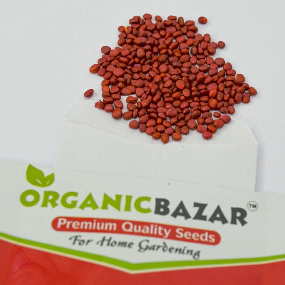 Radish (Mooli) Seeds White Long - 250 Seeds (मूली के बीज) - Image 3