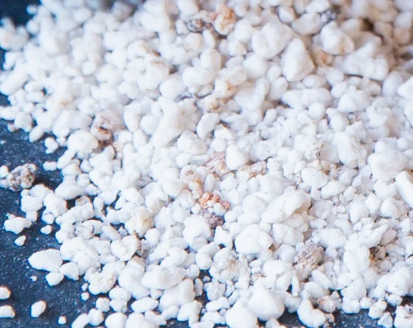 DIY Premium Organic Seedling Starter Mix Kit for Home Garden - Image 5