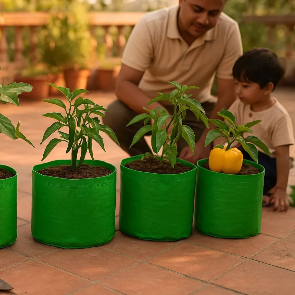 Terrace Gardening Kit for Beginners 14 Different Product in 1 kit - Image 4