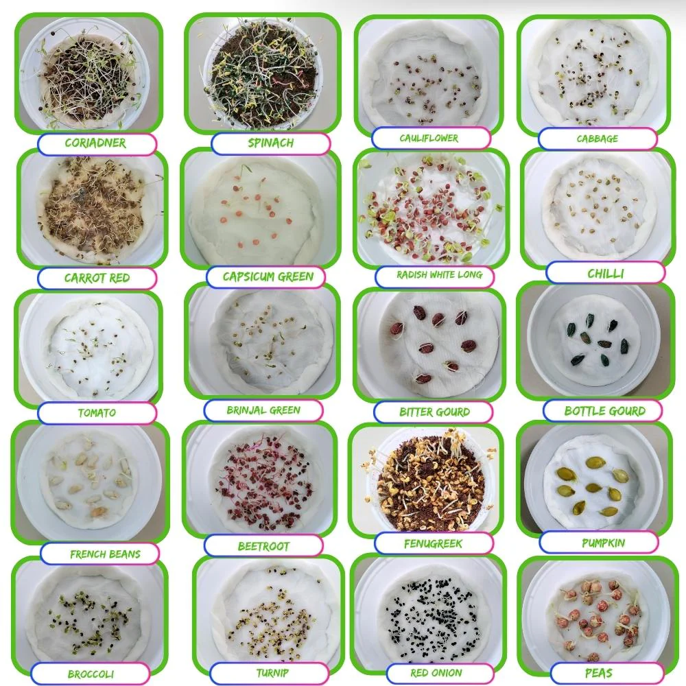 Winter Season Vegetables Seeds Kit – 20 Best Winter Vegetable Seeds for Terrace Gardening 🌱❄️ - Image 5